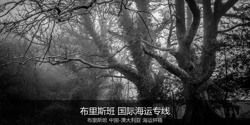 澳大利亚海运专线时效对比与选择指南