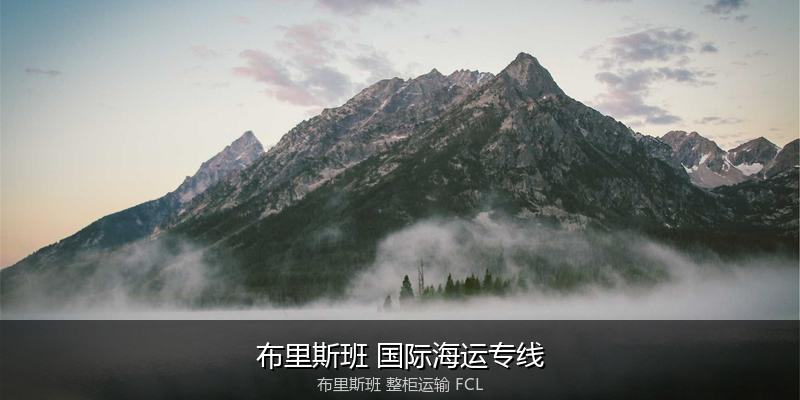 海运拼箱与整柜运输优劣对比